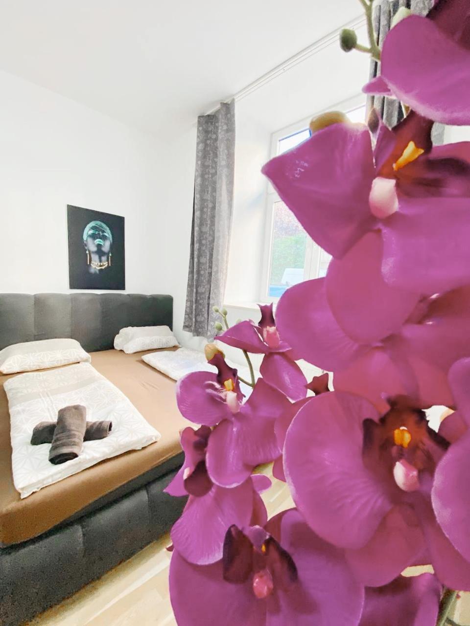 Family Studio- 7 Minutes To Schoenbrunn Palace