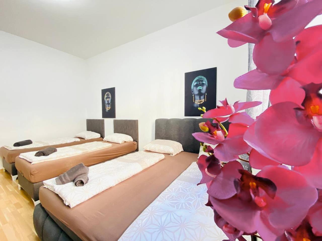 Family Studio- 7 Minutes To Schoenbrunn Palace Apartment Vienna