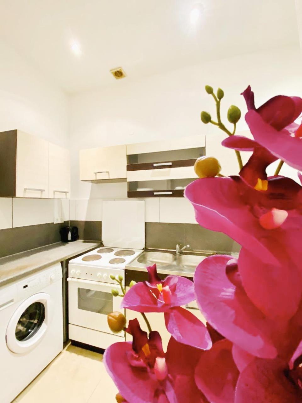 Family Studio- 7 Minutes To Schoenbrunn Palace
